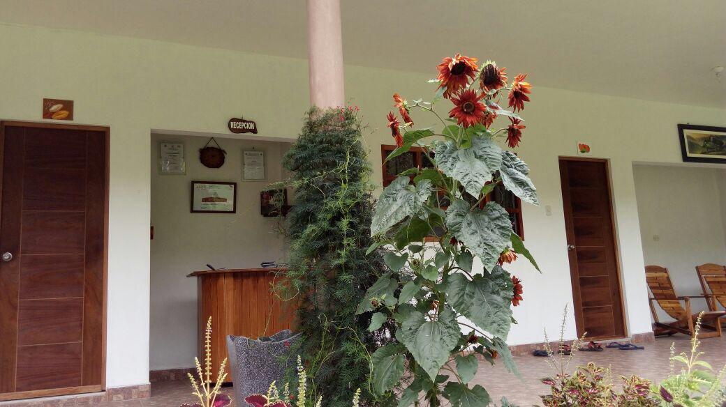 El Mangal Hostel Maranura Ngoại thất bức ảnh