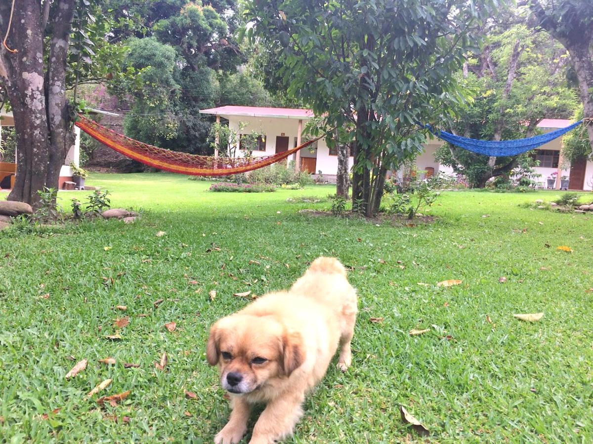 El Mangal Hostel Maranura Ngoại thất bức ảnh